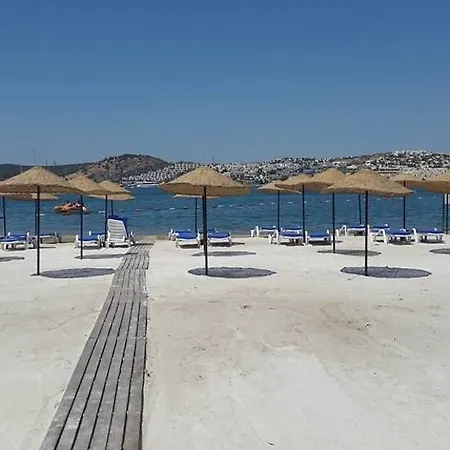 Anadolu 4*