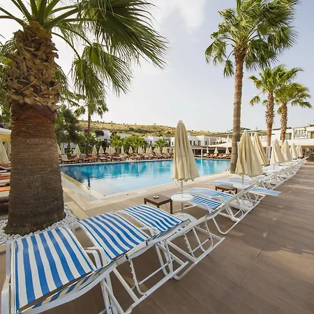 Отель Anadolu 4*