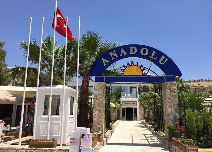 Anadolu Ξενοδοχείο 4*