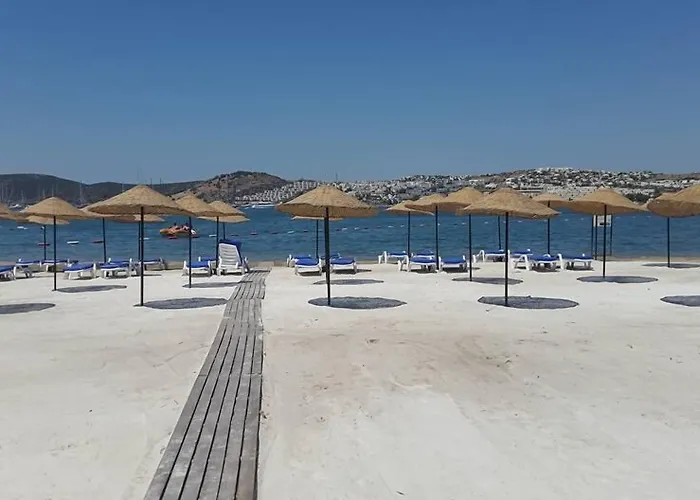 Anadolu Αλικαρνασσός