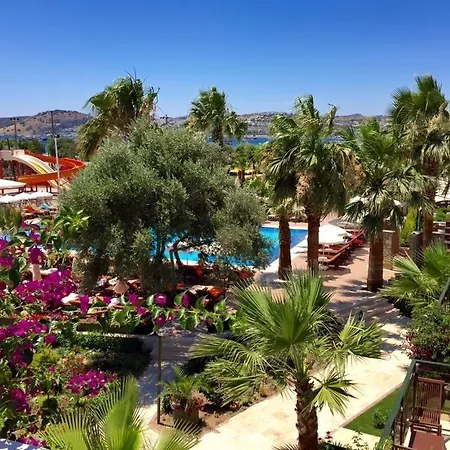 Anadolu Otel 4*