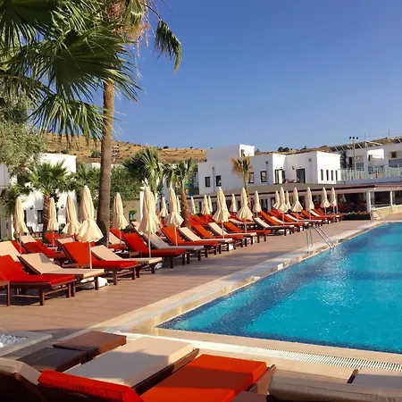 Anadolu 4* בודרום